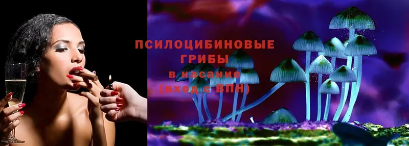 Псилоцибиновые грибы Magic Shrooms  Черногорск 